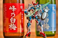 日本酒シリーズ第43弾　峰野白梅