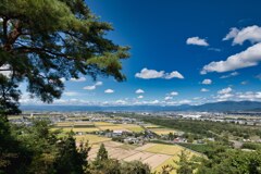 長閑な