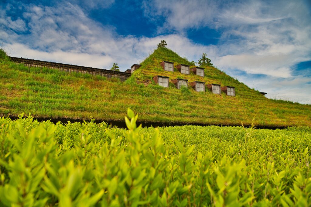 自然の力　ラコリーナ近江八幡