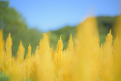 やっと・・・晴れ