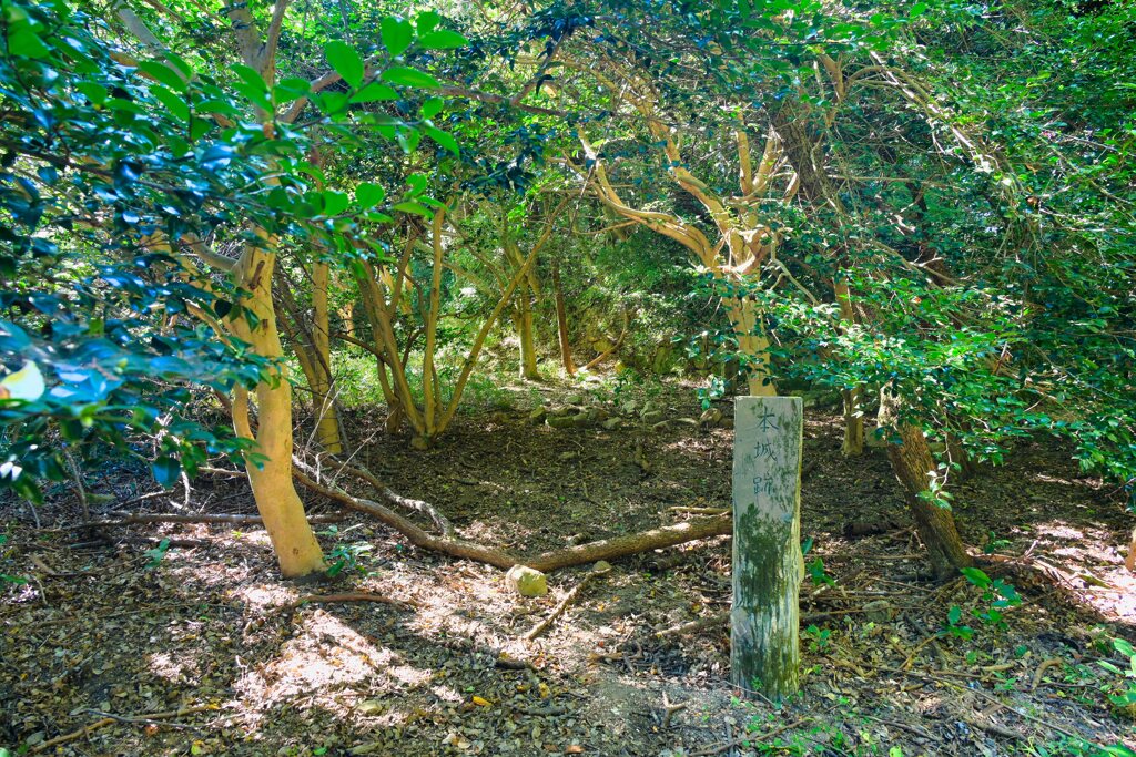 本城跡に到着！　06観音寺城跡