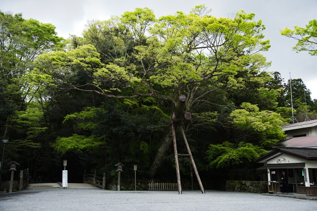 伊勢神宮　外宮