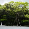 伊勢神宮　外宮