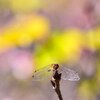 桜をバックに☆