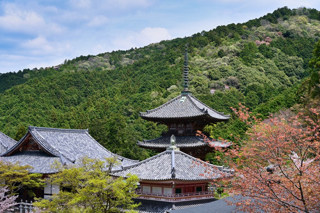 八幡神社　奈良