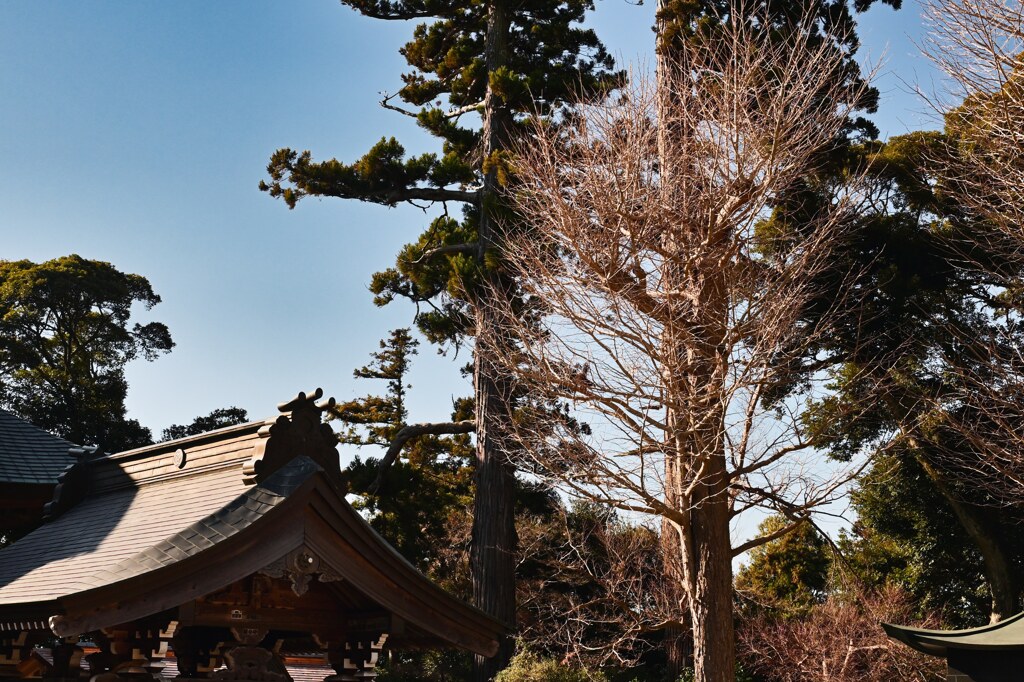 天気良好