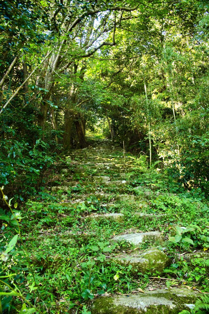 あとは戻り路……　09観音寺城