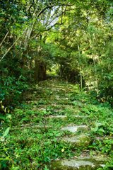 あとは戻り路……　09観音寺城