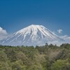 雄大な
