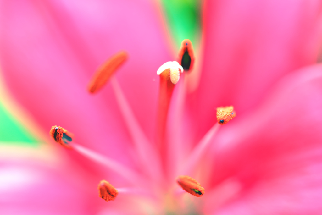 純潔