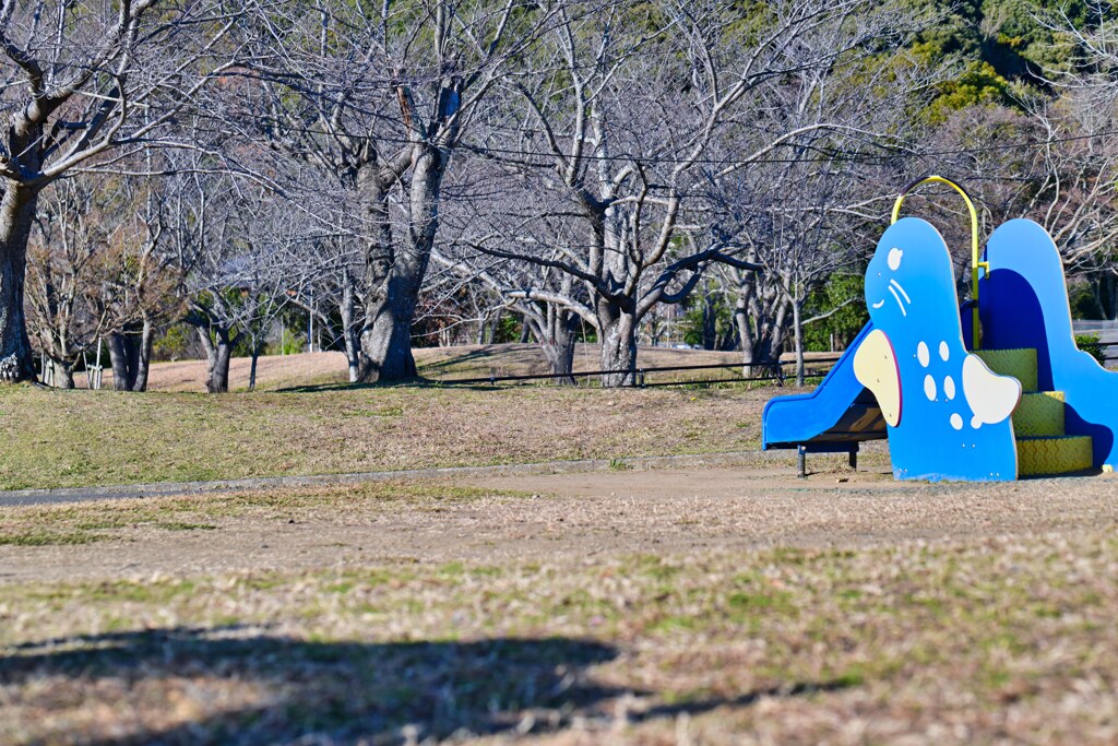 冬の公園