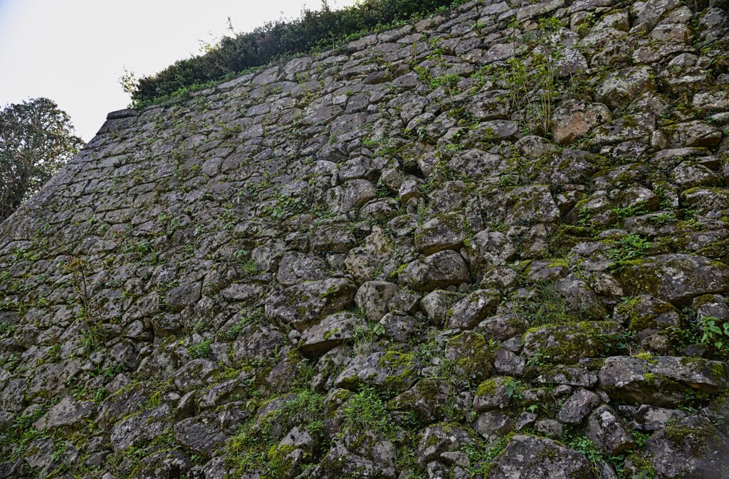 途中から積み方の違う城壁　宇和島城