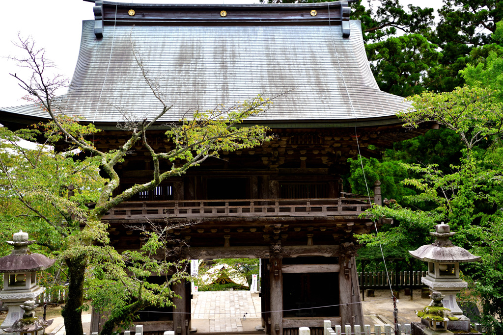 筑波山神社