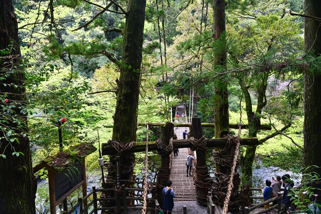 入り口　祖谷のかずら橋