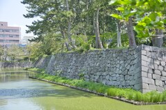 濠と石垣　津城跡☆