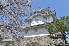 日本100名城　No.1　桜と大多喜城