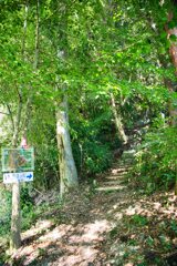 やっと入口　05観音寺城跡