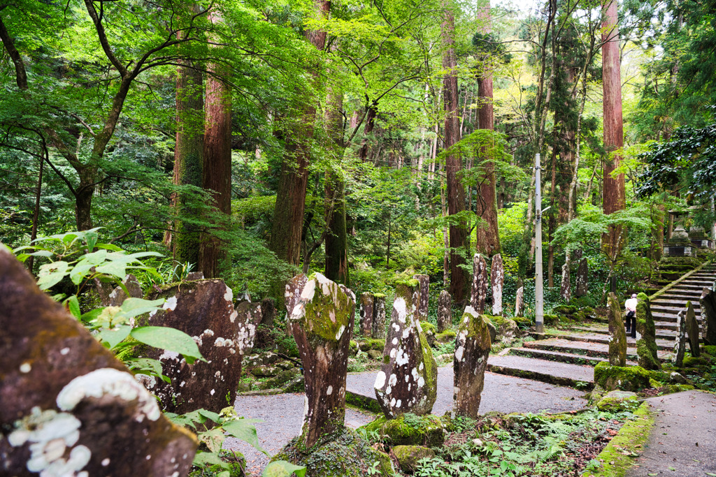 大雄山最乗寺　参道へ