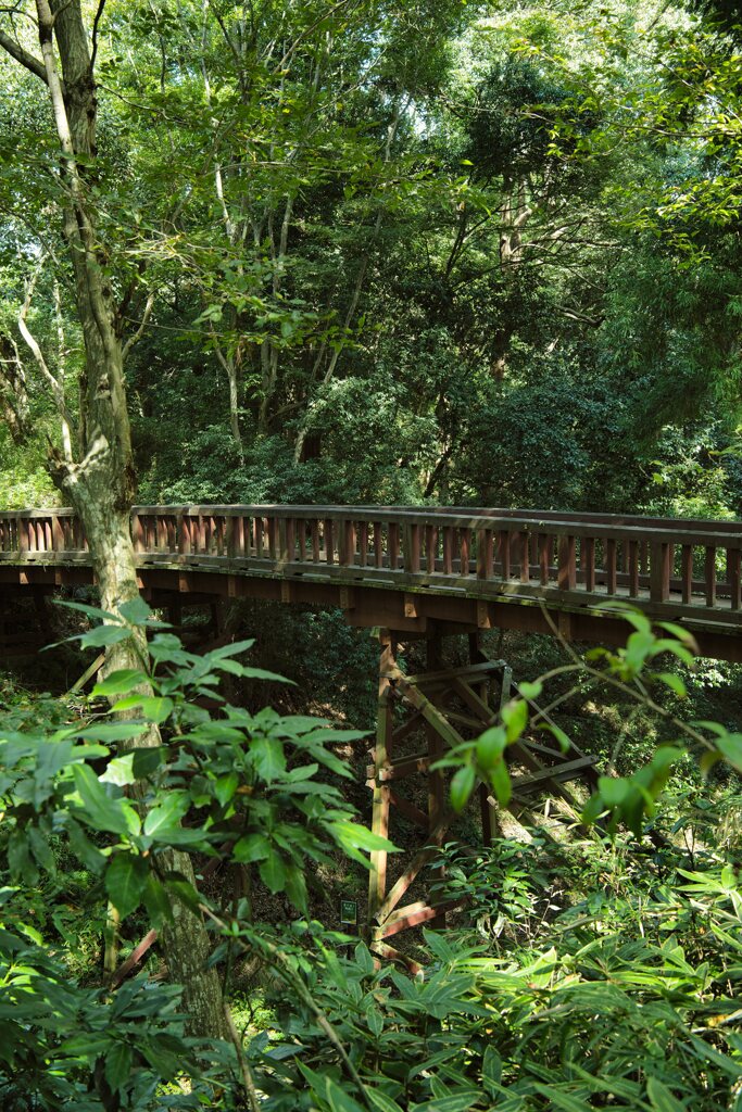 木橋(引橋）　滝山城跡