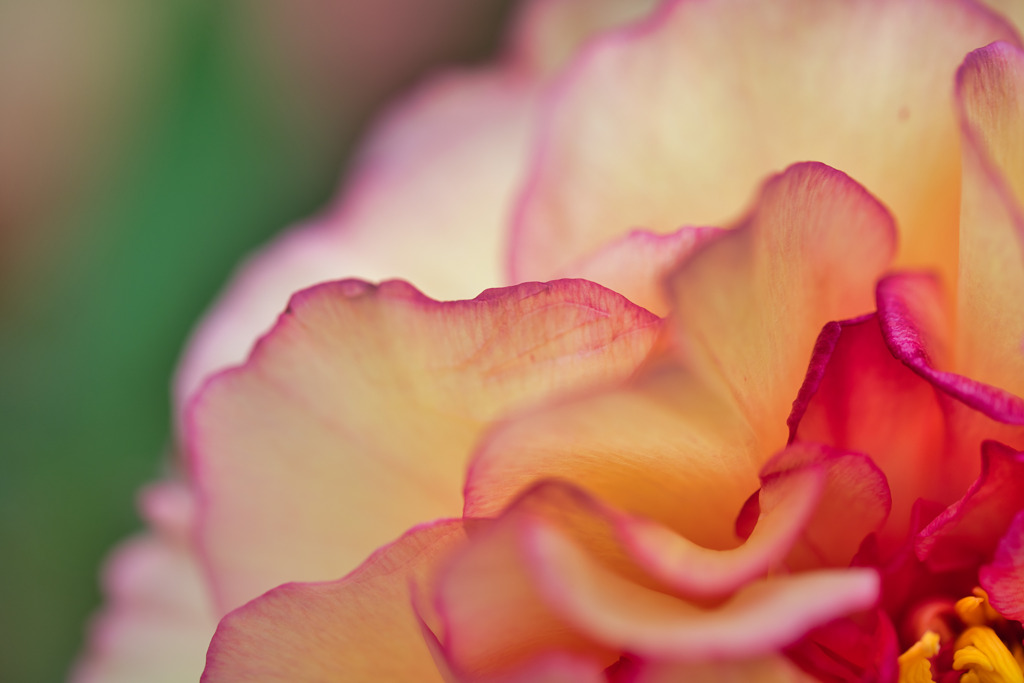 Gradation