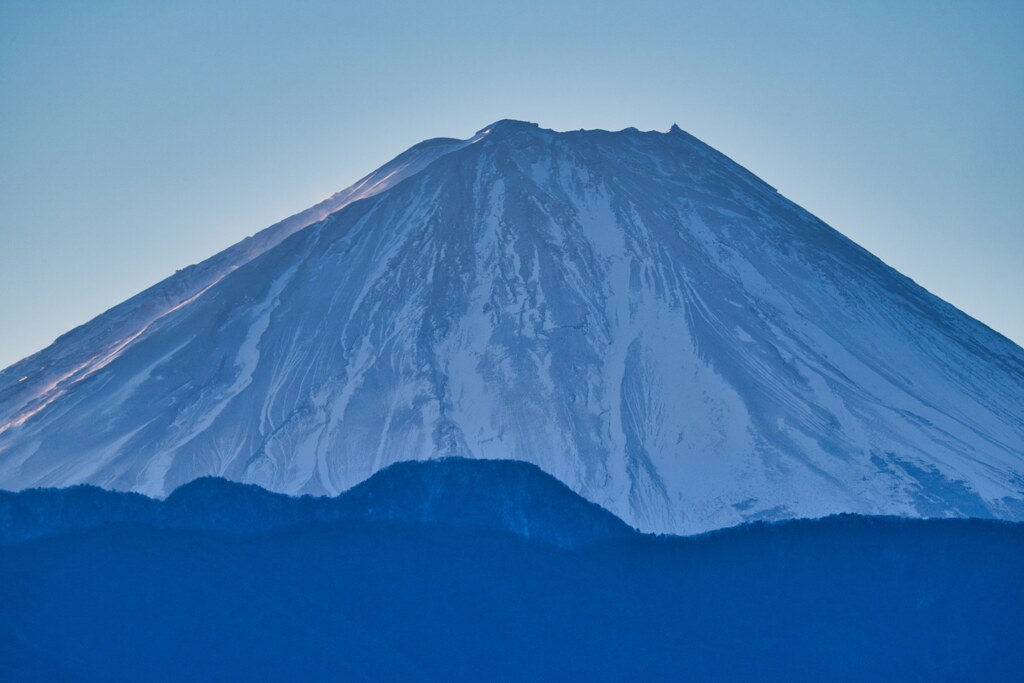 おめでとうございます