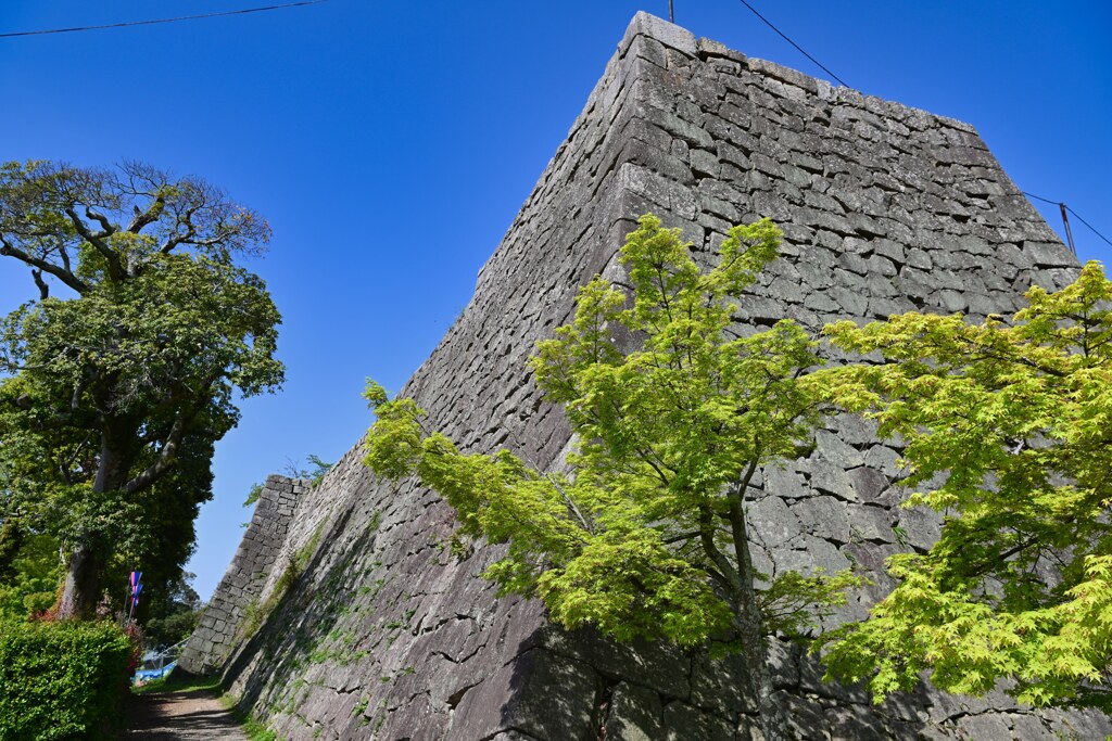 城壁　丸亀城
