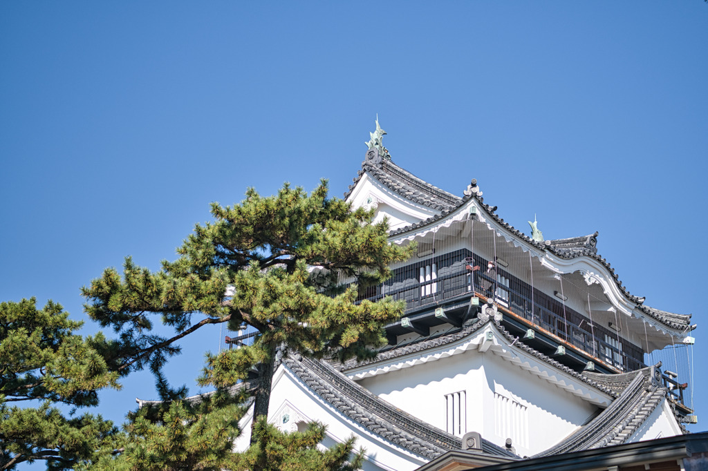日本100名城　青空と岡崎城
