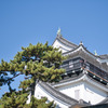 日本100名城　青空と岡崎城