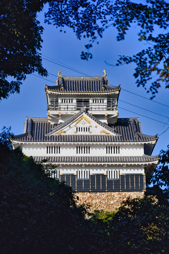 岐阜城☆