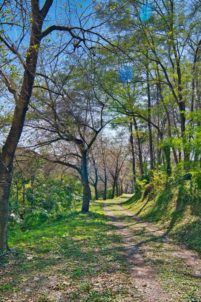 散歩道