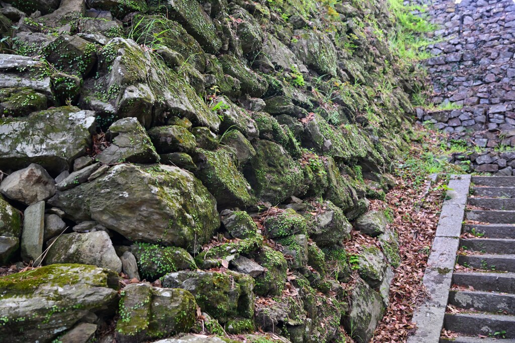 日本100名城　No.48　徳島城址