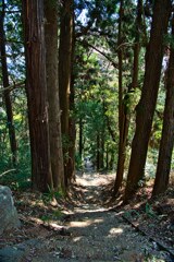新府城　急階段