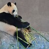落ちてるよ