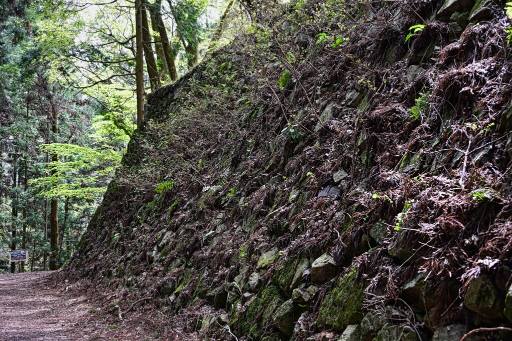 石垣　高取城跡