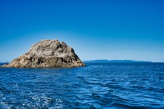 波穏やか釣果期待！　笹川流れ