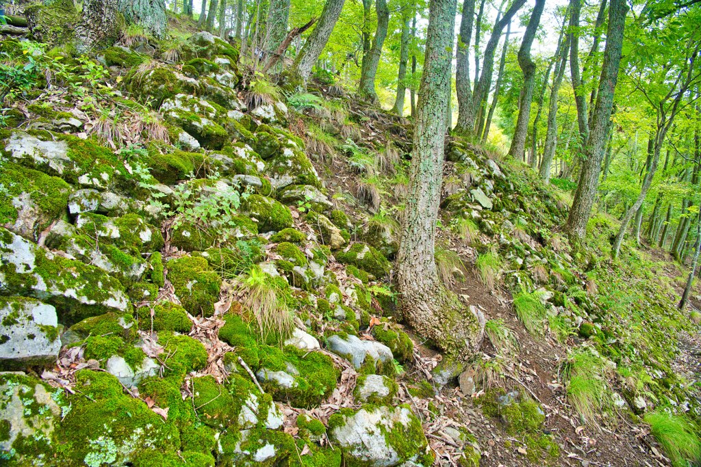 日本100名城　No.110　鎌刃城