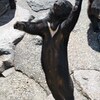 『こっこで～す』　クマ牧場☆