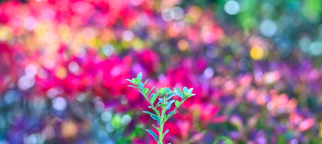 Colorful