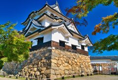 紅葉にはもう少し　