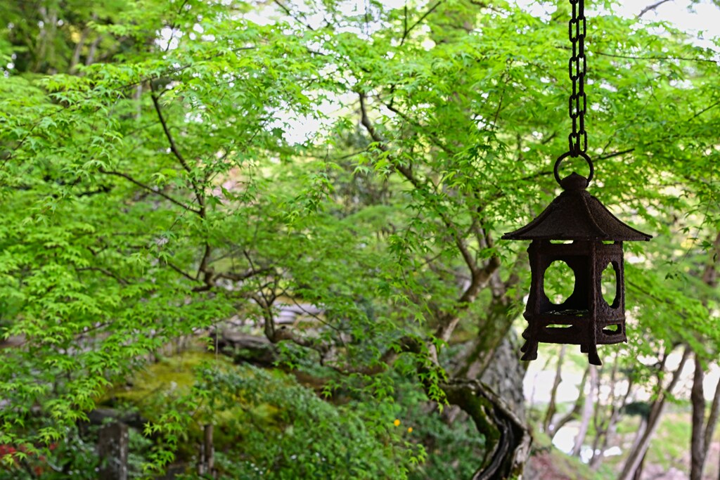 不老庵　臥龍山荘