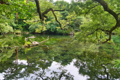 映す水面