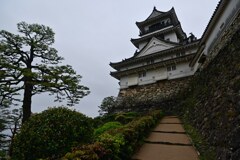 天守は遠い　高知城