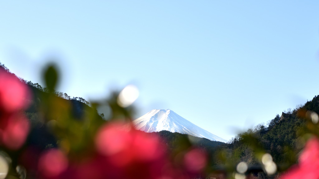 富士