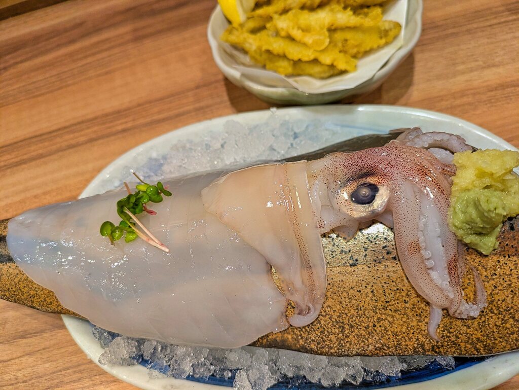 剣先イカのお刺身