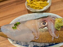 剣先イカのお刺身