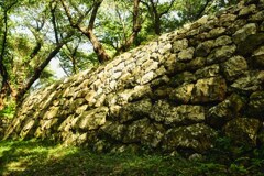 越後では珍しい総石垣の城　村上城跡