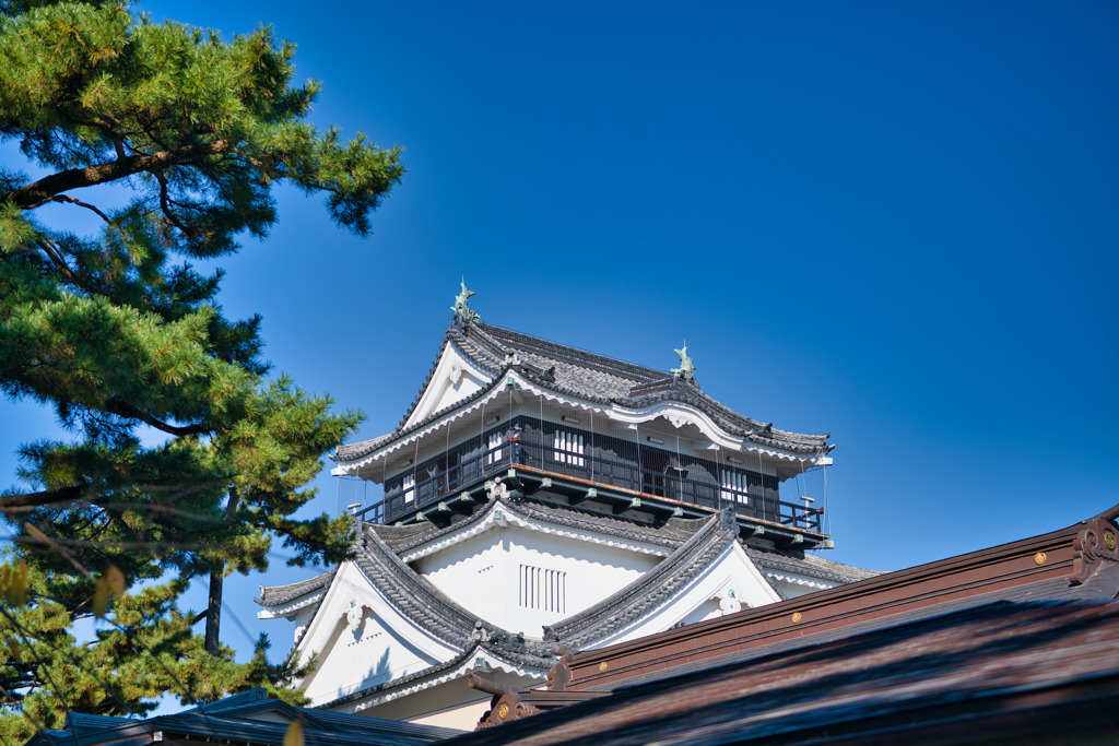 日本100名城　岡崎城　天守