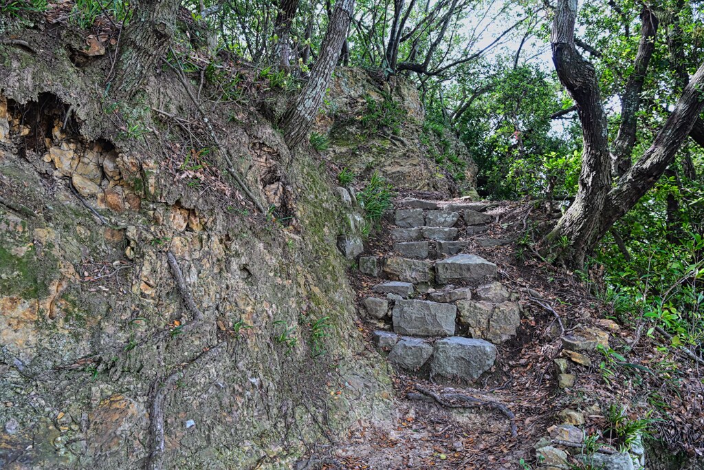 引田城跡　山登り