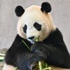 つぶらな瞳♡☆