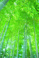 風が抜ける